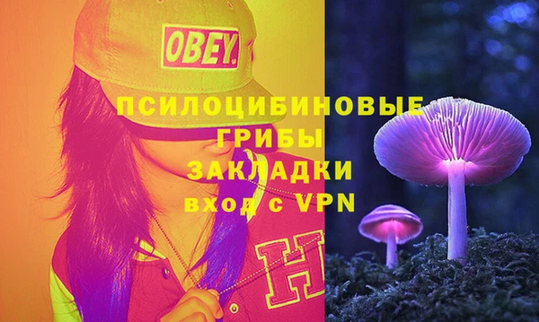 амф Весьегонск