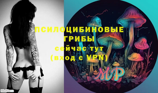 соль ск Магас